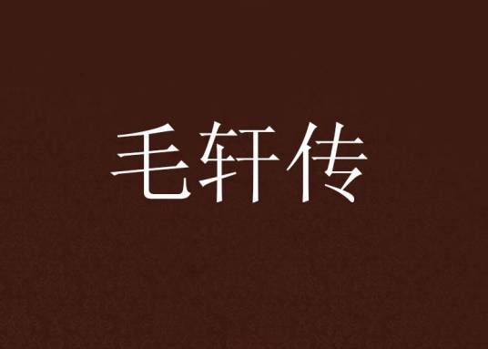 毛轩传