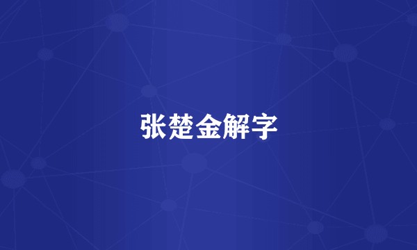 张楚金解字