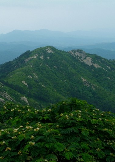 高村镇（山东威海市文登区下辖镇）