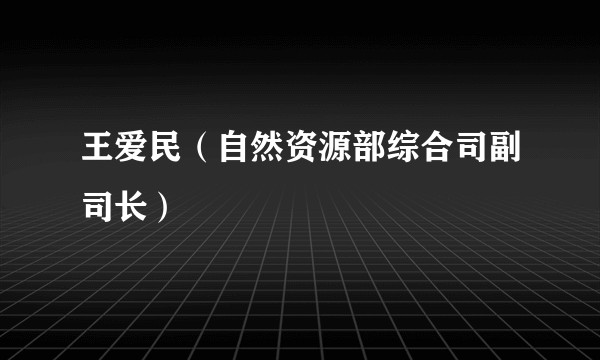 王爱民（自然资源部综合司副司长）