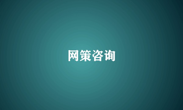 网策咨询