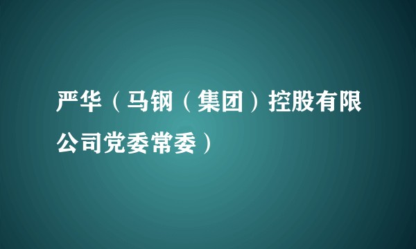 严华（马钢（集团）控股有限公司党委常委）