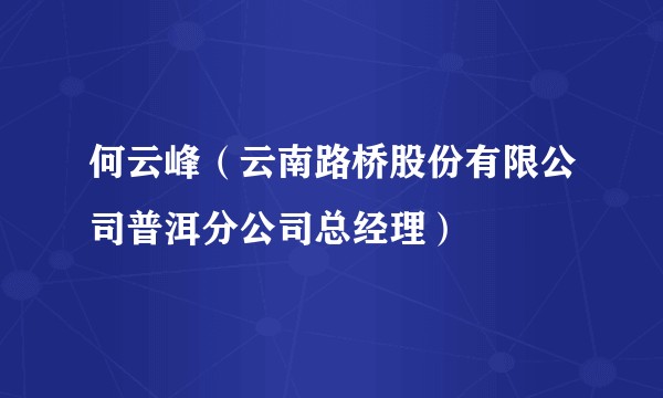 何云峰（云南路桥股份有限公司普洱分公司总经理）