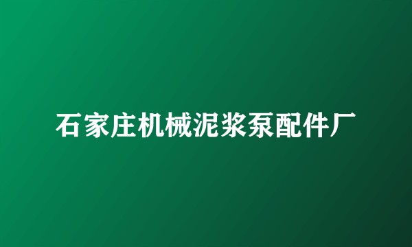 石家庄机械泥浆泵配件厂