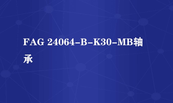 FAG 24064-B-K30-MB轴承