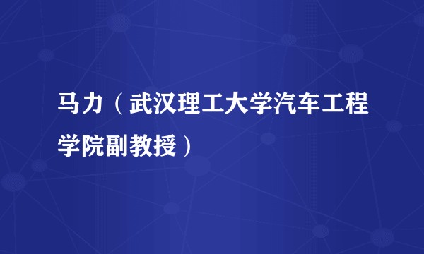 马力（武汉理工大学汽车工程学院副教授）