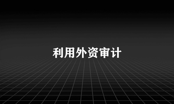 利用外资审计