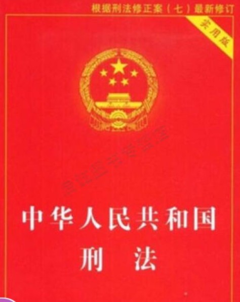 中华人民共和国刑法（2007年中国法制出版社出版的图书）
