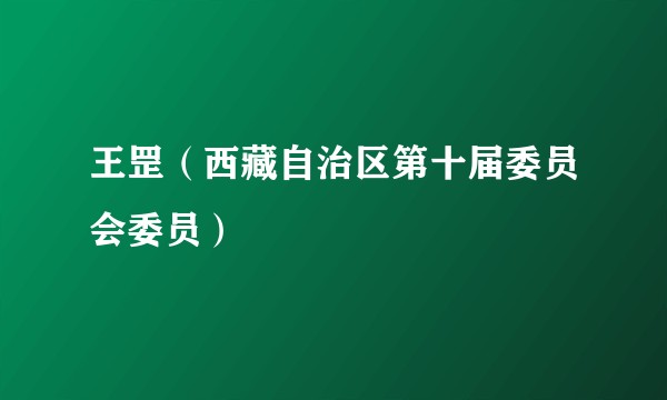 王罡（西藏自治区第十届委员会委员）