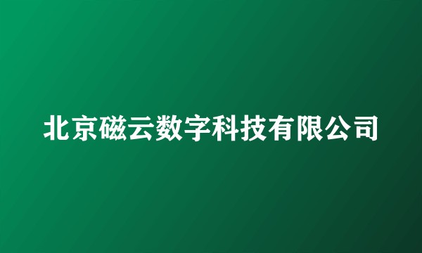 北京磁云数字科技有限公司