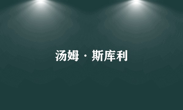 汤姆·斯库利
