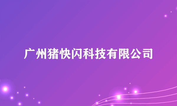 广州猪快闪科技有限公司