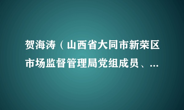 贺海涛（山西省大同市新荣区市场监督管理局党组成员、副局长）