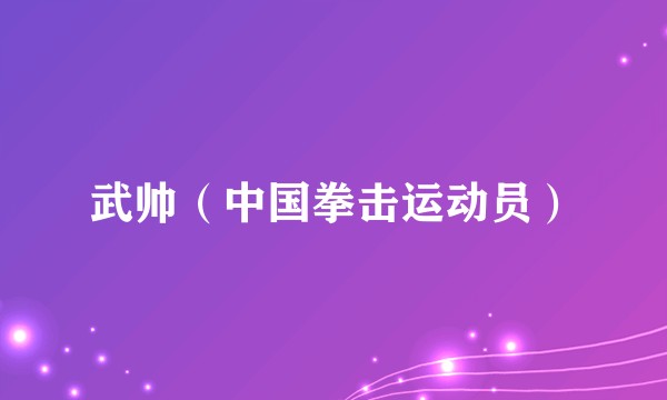 武帅（中国拳击运动员）