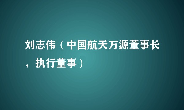 刘志伟（中国航天万源董事长，执行董事）