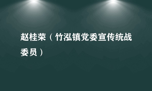 赵桂荣（竹泓镇党委宣传统战委员）