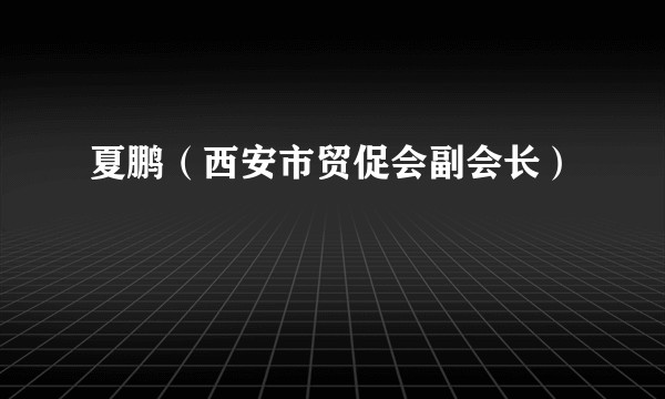 夏鹏（西安市贸促会副会长）