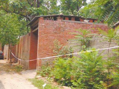 河南少年掐死女童案