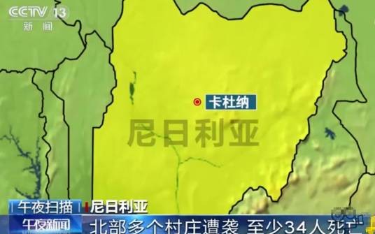 3·20尼日利亚武装袭击村庄事件