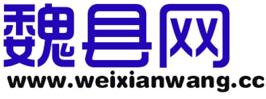 魏县网