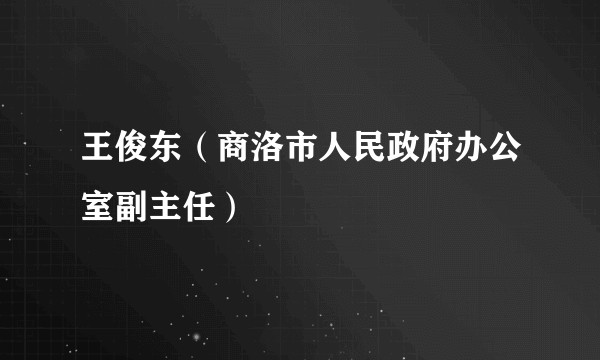 王俊东（商洛市人民政府办公室副主任）