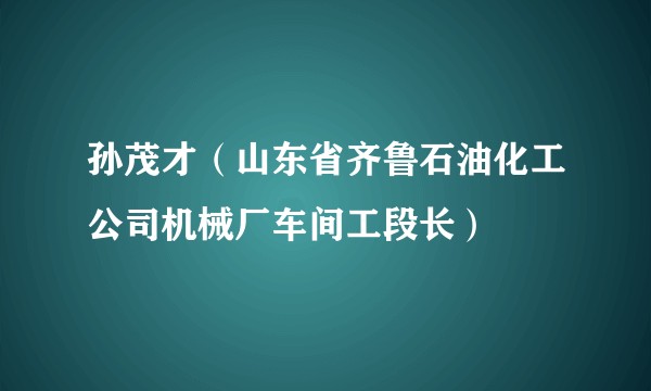孙茂才（山东省齐鲁石油化工公司机械厂车间工段长）
