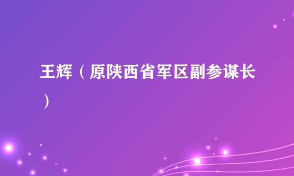 王辉（原陕西省军区副参谋长）