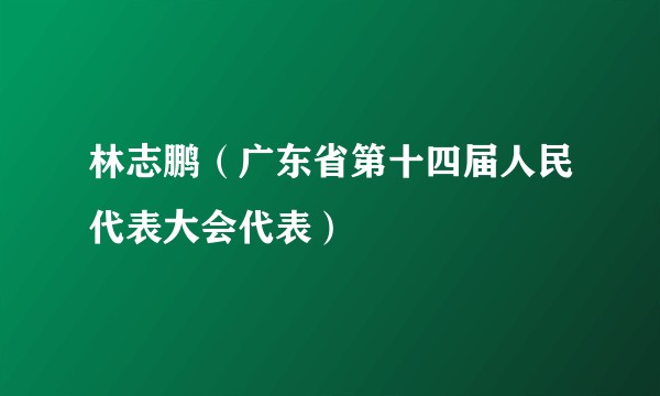 林志鹏（广东省第十四届人民代表大会代表）