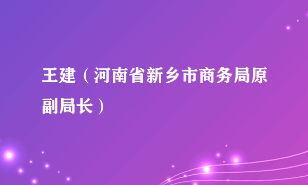 王建（河南省新乡市商务局原副局长）