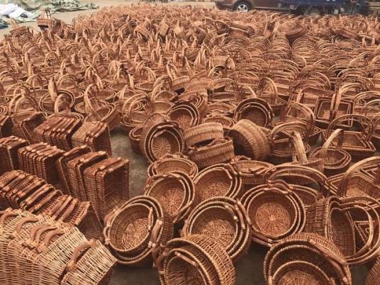 程河柳编