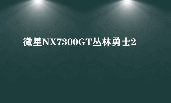 微星NX7300GT丛林勇士2