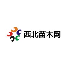 西北苗木网