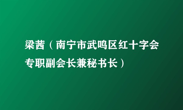 梁茜（南宁市武鸣区红十字会专职副会长兼秘书长）