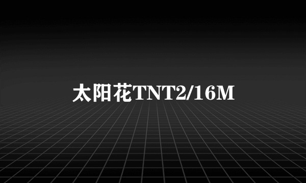 太阳花TNT2/16M