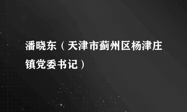 潘晓东（天津市蓟州区杨津庄镇党委书记）
