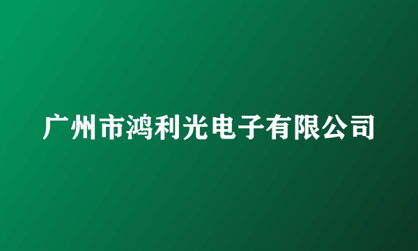 广州市鸿利光电子有限公司