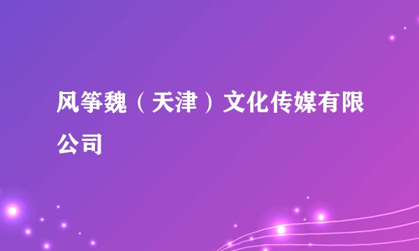 风筝魏（天津）文化传媒有限公司