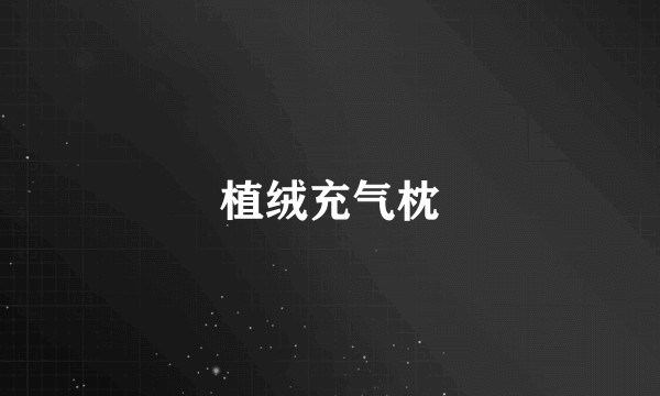 植绒充气枕