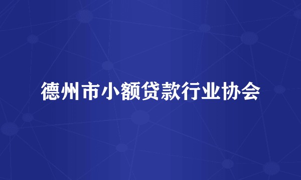 德州市小额贷款行业协会
