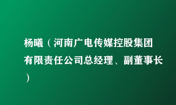 杨曦（河南广电传媒控股集团有限责任公司总经理、副董事长）