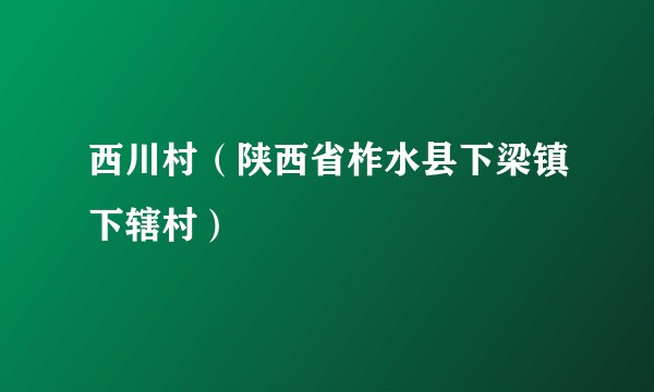 西川村（陕西省柞水县下梁镇下辖村）