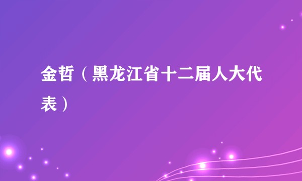 金哲（黑龙江省十二届人大代表）