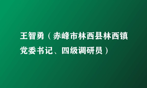 王智勇（赤峰市林西县林西镇党委书记、四级调研员）
