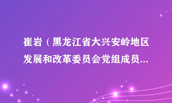 崔岩(黑龙江省大兴安岭地区发展和改革委员会党组成员、副主任)