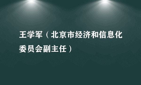 王学军（北京市经济和信息化委员会副主任）