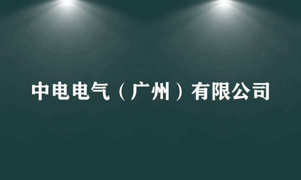 中电电气（广州）有限公司