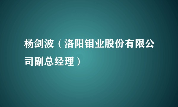 杨剑波（洛阳钼业股份有限公司副总经理）