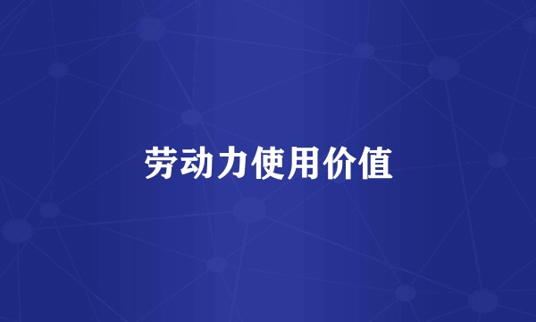 劳动力使用价值