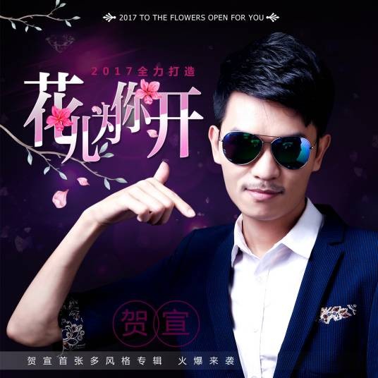 花儿为你开（贺宣专辑）