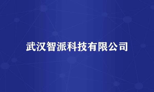 武汉智派科技有限公司